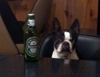 Gleason Happy Hour